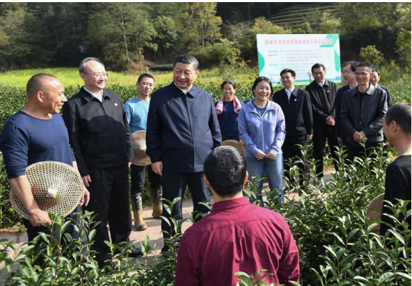 习主席考察武夷燕子窠生态茶基地纪实